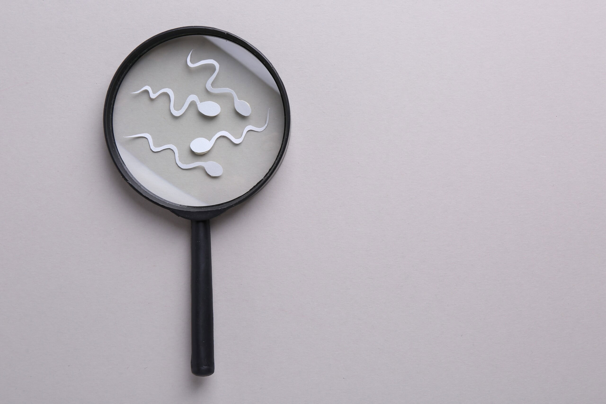 Read more about the article Sperm Testi Nasıl Yapılır?