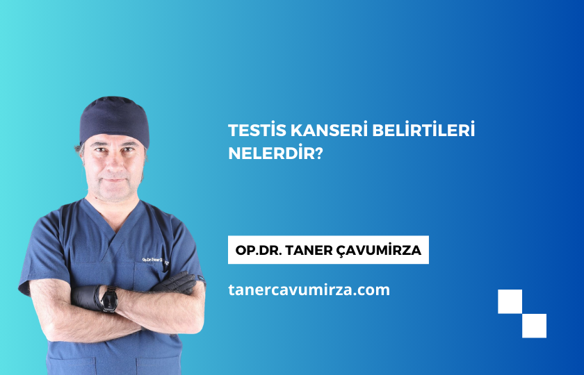 You are currently viewing Testis Kanseri Belirtileri Nelerdir?